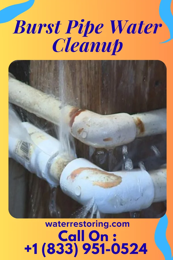 Burst Pipe Water Cleanup in Arcola, MO